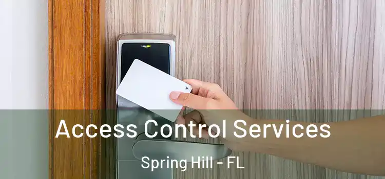 Access Control Services Spring Hill - FL