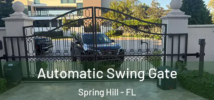 Automatic Swing Gate Spring Hill - FL