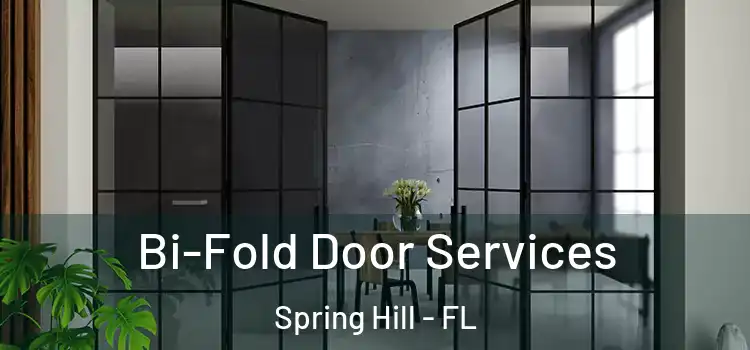  Bi-Fold Door Services Spring Hill - FL
