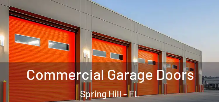  Commercial Garage Doors Spring Hill - FL