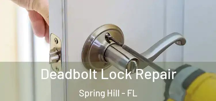  Deadbolt Lock Repair Spring Hill - FL