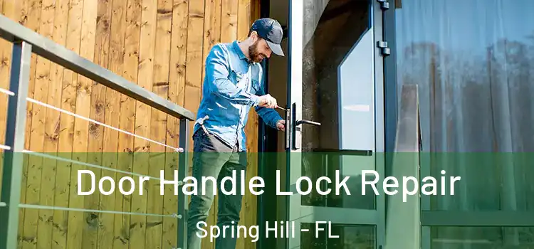 Door Handle Lock Repair Spring Hill - FL