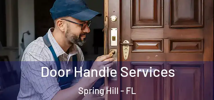  Door Handle Services Spring Hill - FL