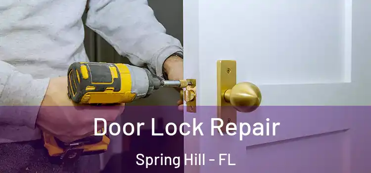 Door Lock Repair Spring Hill - FL