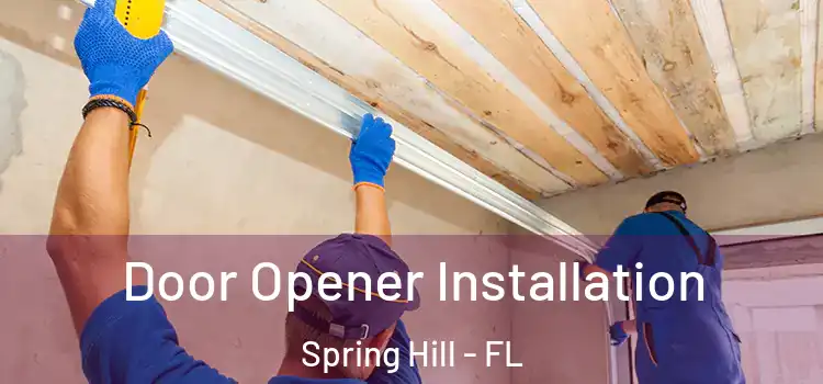  Door Opener Installation Spring Hill - FL