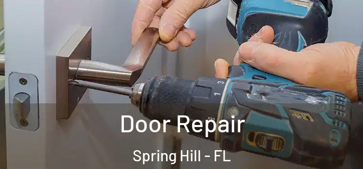  Door Repair Spring Hill - FL