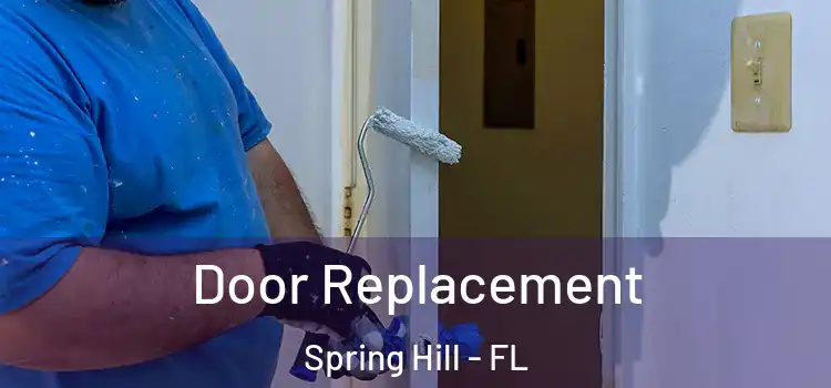 Door Replacement Spring Hill - FL
