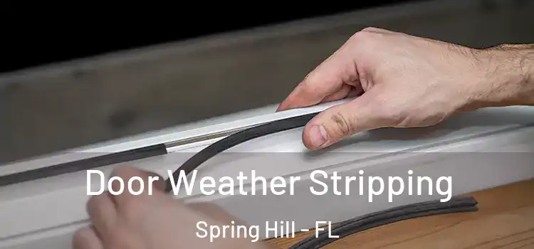  Door Weather Stripping Spring Hill - FL