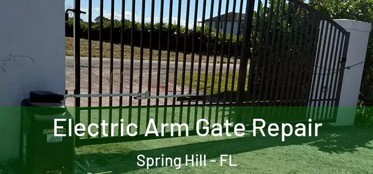 Electric Arm Gate Repair Spring Hill - FL