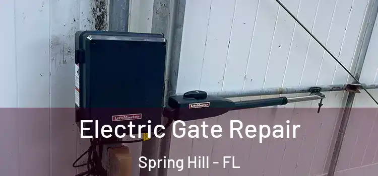  Electric Gate Repair Spring Hill - FL
