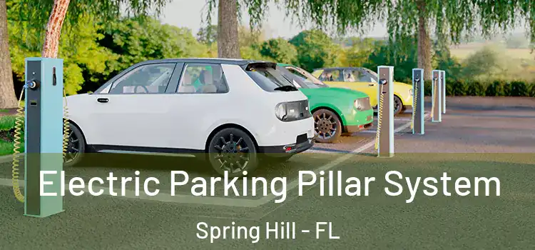  Electric Parking Pillar System Spring Hill - FL