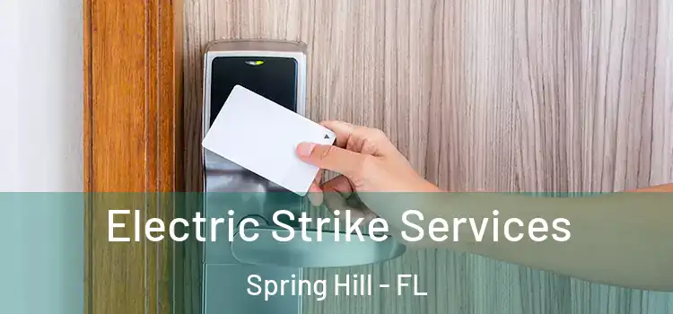  Electric Strike Services Spring Hill - FL