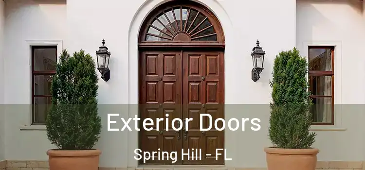 Exterior Doors Spring Hill - FL