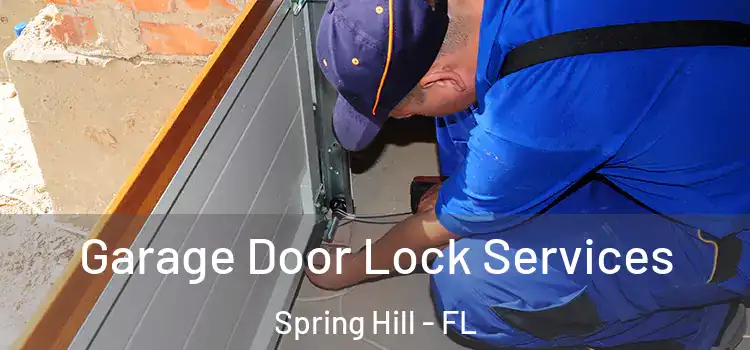  Garage Door Lock Services Spring Hill - FL