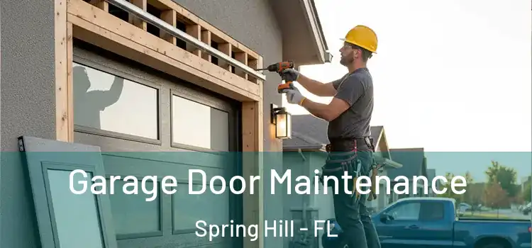  Garage Door Maintenance Spring Hill - FL