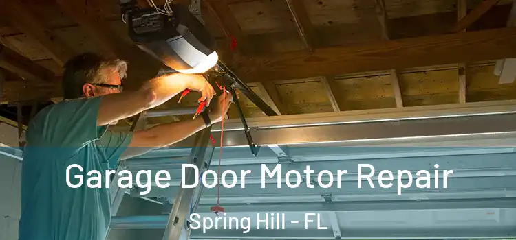  Garage Door Motor Repair Spring Hill - FL