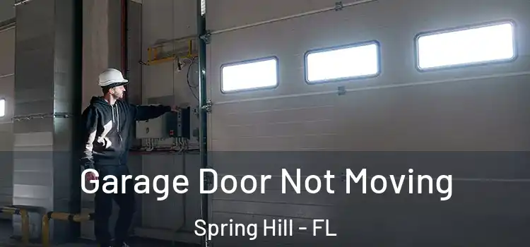  Garage Door Not Moving Spring Hill - FL