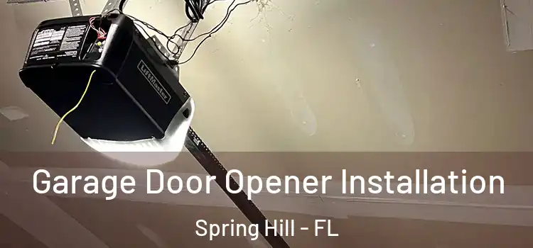  Garage Door Opener Installation Spring Hill - FL