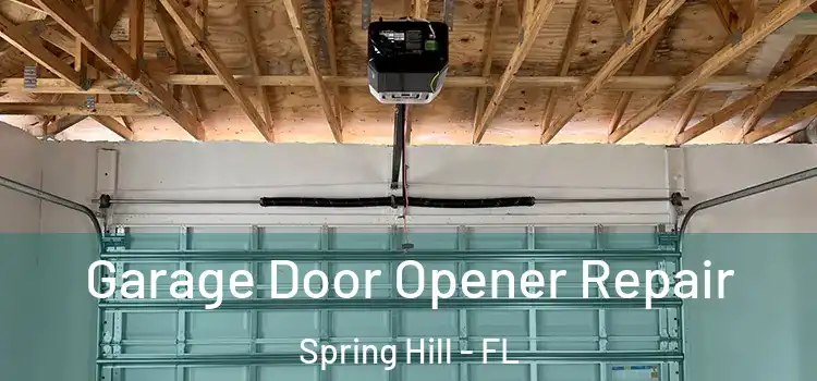  Garage Door Opener Repair Spring Hill - FL