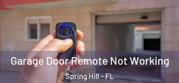  Garage Door Remote Not Working Spring Hill - FL