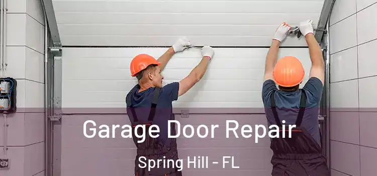 Garage Door Repair Spring Hill - FL