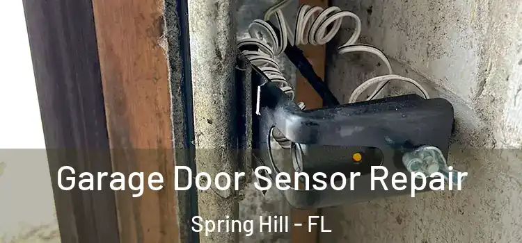Garage Door Sensor Repair Spring Hill - FL