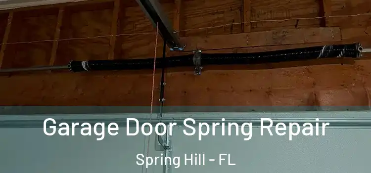  Garage Door Spring Repair Spring Hill - FL
