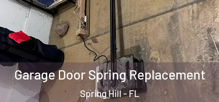  Garage Door Spring Replacement Spring Hill - FL