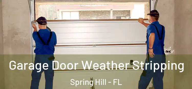  Garage Door Weather Stripping Spring Hill - FL