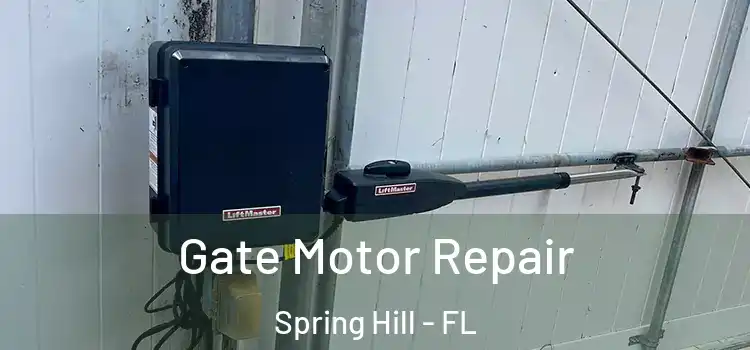  Gate Motor Repair Spring Hill - FL