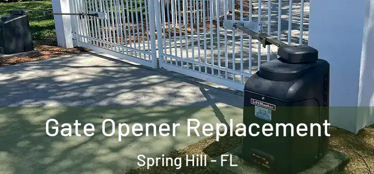 Gate Opener Replacement Spring Hill - FL