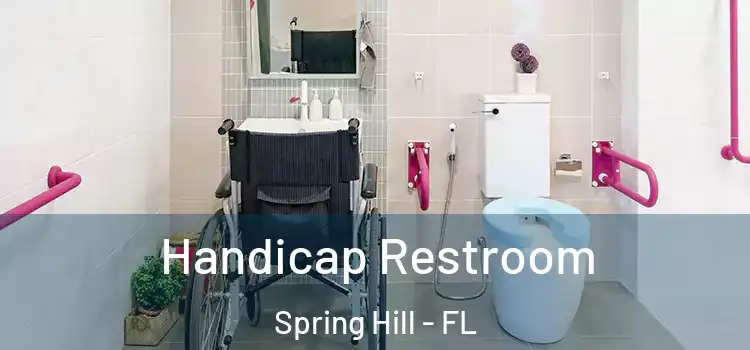  Handicap Restroom Spring Hill - FL