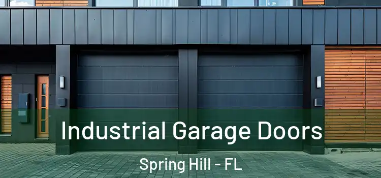  Industrial Garage Doors Spring Hill - FL