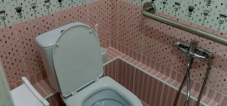 Meeting Diverse Needs With Accessible Restroom Solutions in Spring Hill, FL