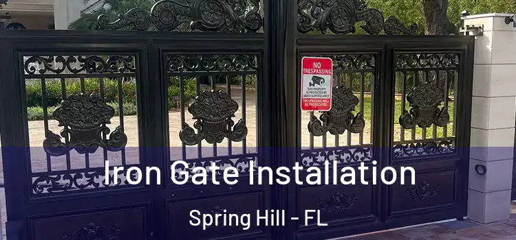 Iron Gate Installation Spring Hill - FL
