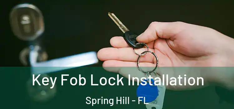  Key Fob Lock Installation Spring Hill - FL