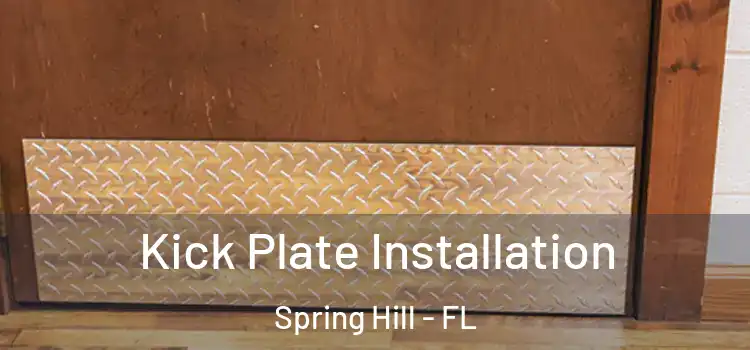  Kick Plate Installation Spring Hill - FL