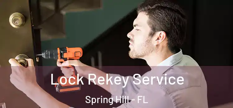  Lock Rekey Service Spring Hill - FL