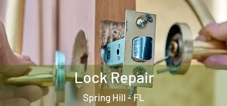  Lock Repair Spring Hill - FL