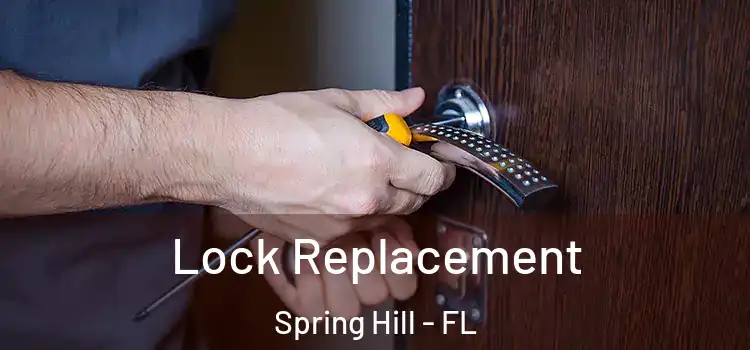  Lock Replacement Spring Hill - FL