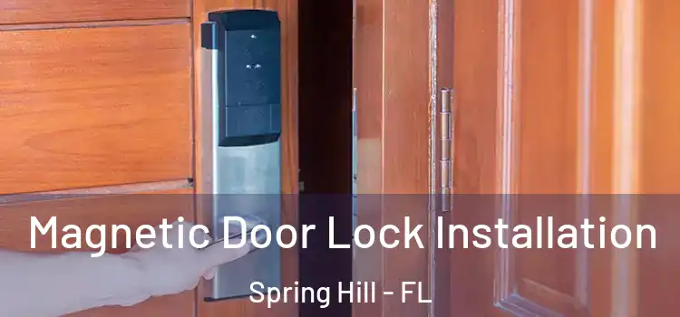  Magnetic Door Lock Installation Spring Hill - FL