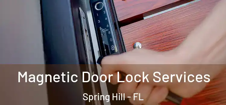  Magnetic Door Lock Services Spring Hill - FL