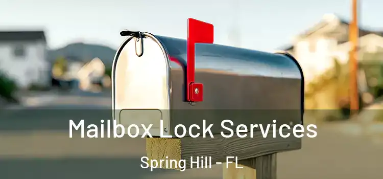  Mailbox Lock Services Spring Hill - FL