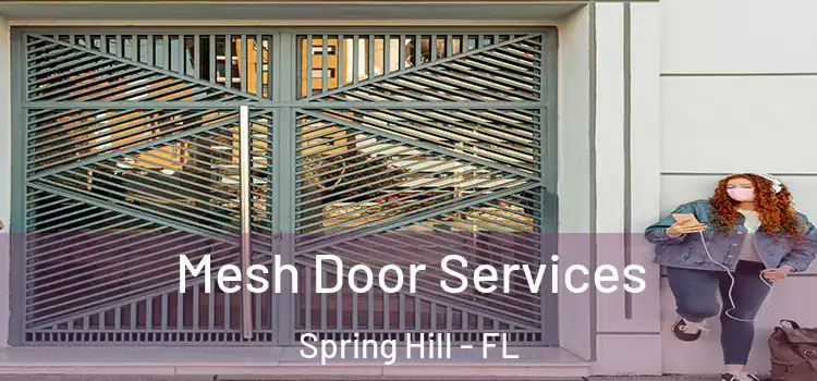  Mesh Door Services Spring Hill - FL