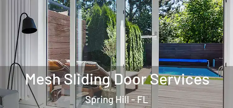  Mesh Sliding Door Services Spring Hill - FL