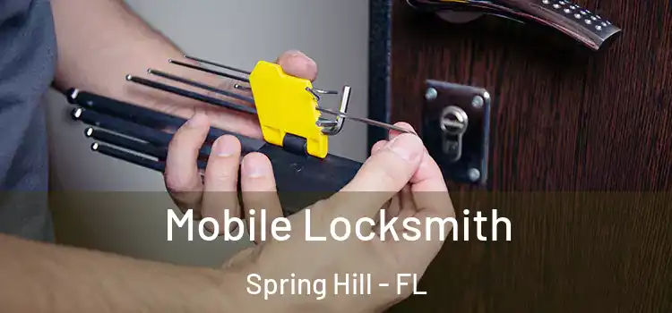  Mobile Locksmith Spring Hill - FL