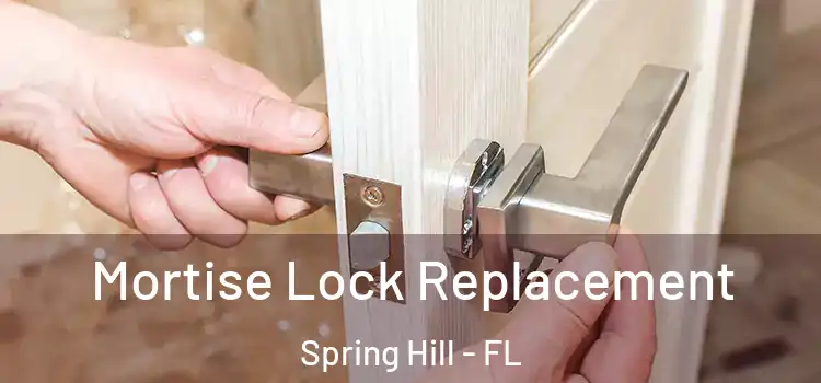 Mortise Lock Replacement Spring Hill - FL
