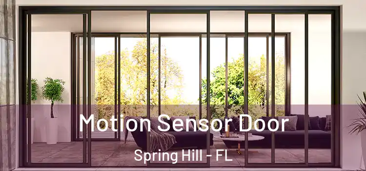 Motion Sensor Door Spring Hill - FL