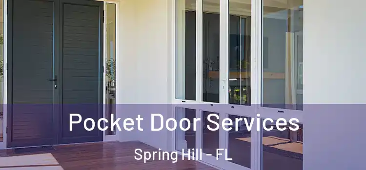 Pocket Door Services Spring Hill - FL