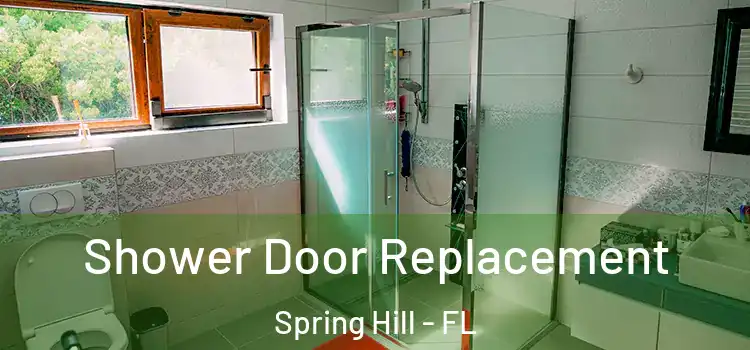  Shower Door Replacement Spring Hill - FL